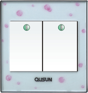 二位單極大蹺板