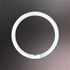 吸頂燈燈管(環型管)