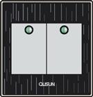 兩位單極大蹺板